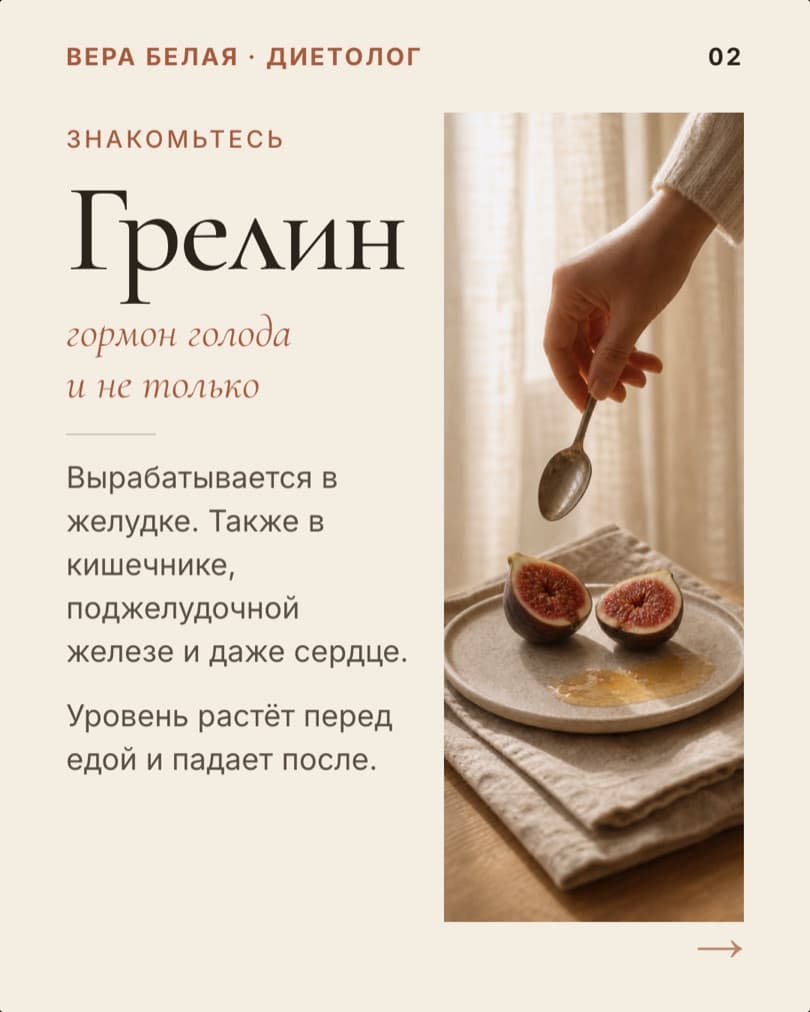 Разбор «Грелин»: слайд 2